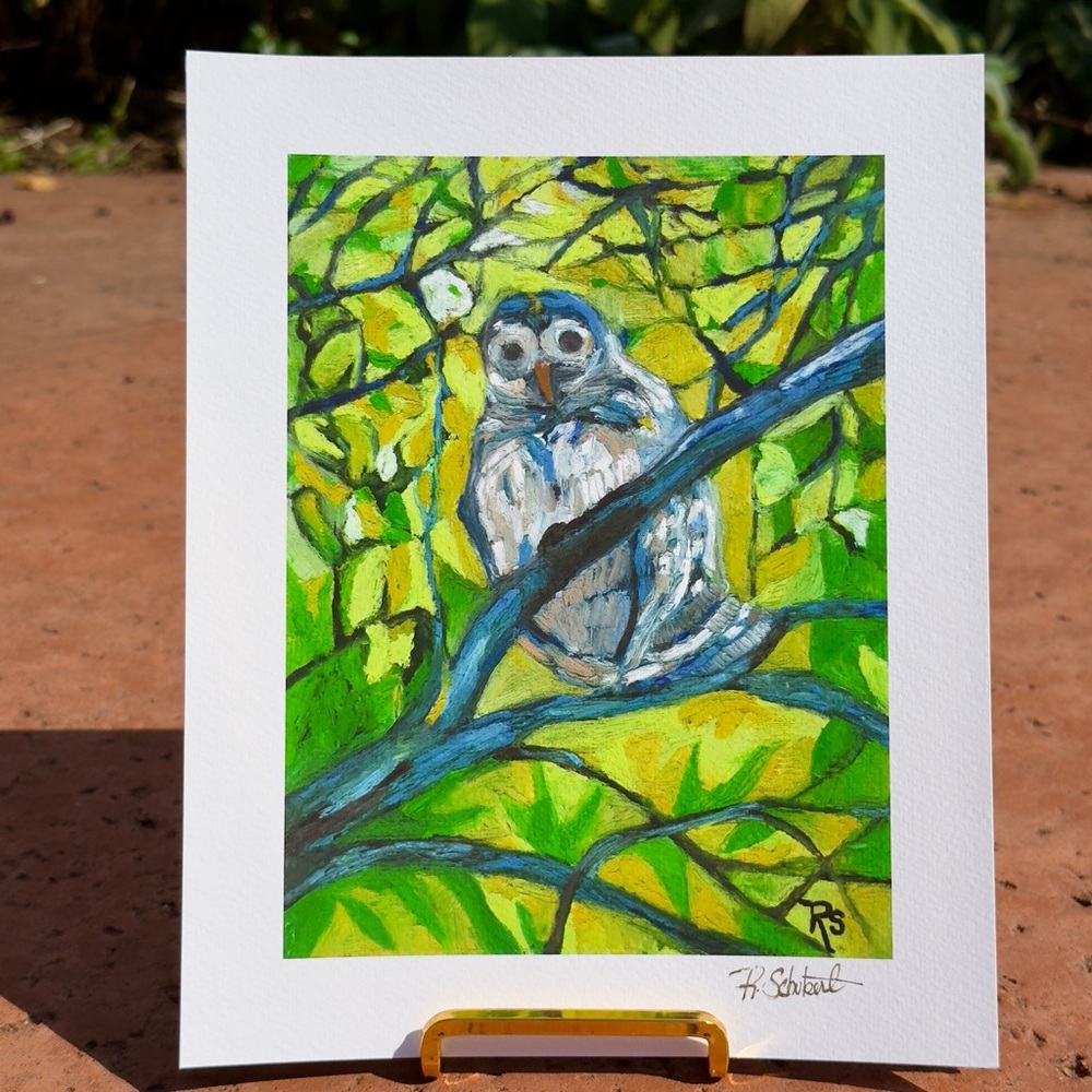 Barred Owl Fine Art giclee Print - Bird Artwork hand signed by artist (not frame